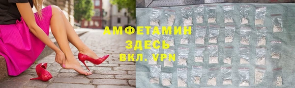амф Горняк