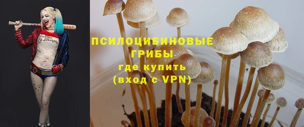 дурь Горнозаводск
