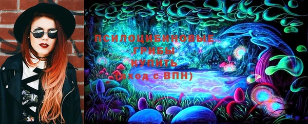 амф Горняк