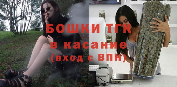 амф Горняк