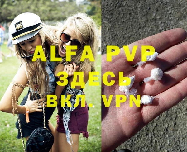 амф Горняк