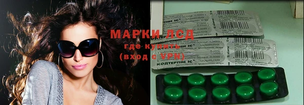 индика Вязьма